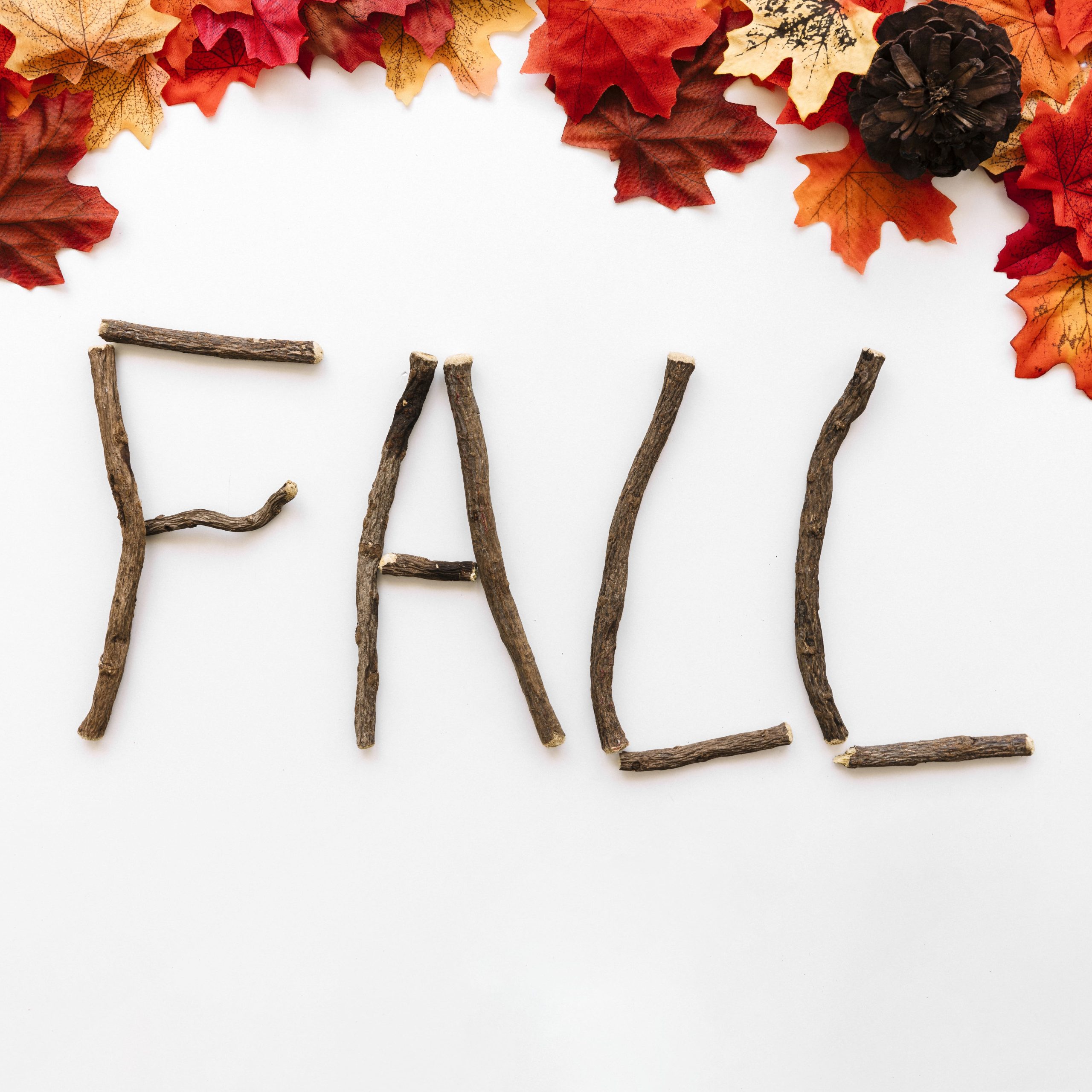 fall-sign-concept-designed-by-autumn-details